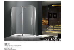 Porte de douche rectangle